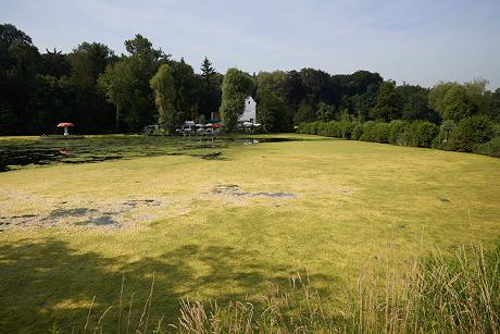 Evenement zoomde in op potentieel algen als grondstof