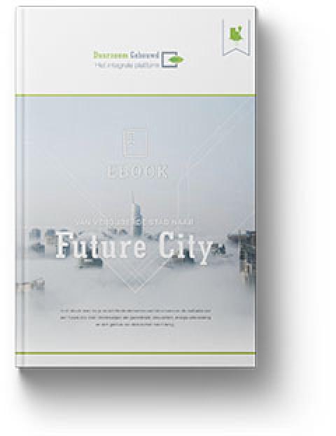 Ebook Future City