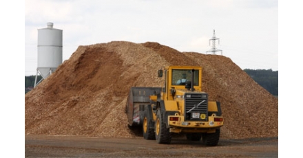 Ambtenaren krijgen les in biomassa