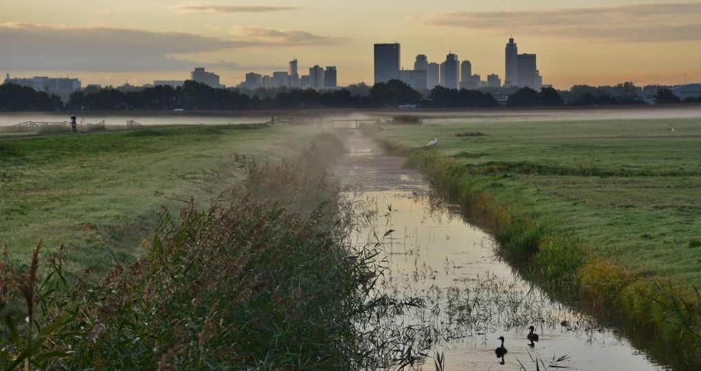 Excursie Rotterdam de Boer op tijdens Klimaattop GO 2024