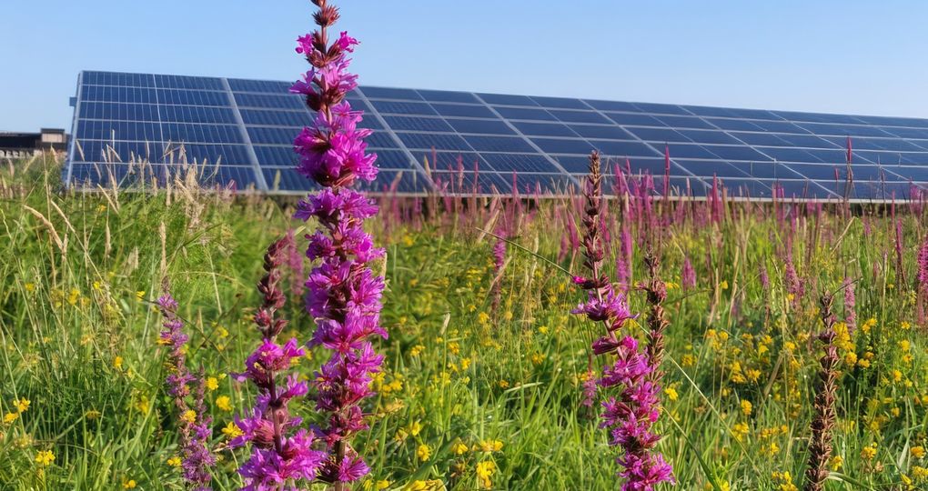 Label voor zonneparken en natuur