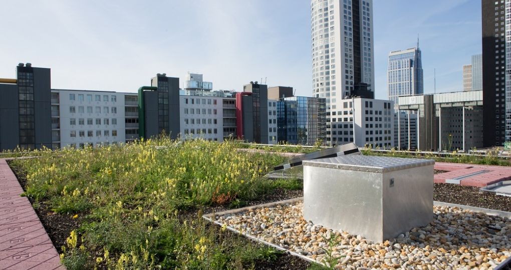 Multifunctionele daken – flexibele oplossing voor klimaatadaptieve dakconstructies