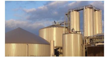 Nederlandse Expertisecentrum Biomassavergassing opgericht