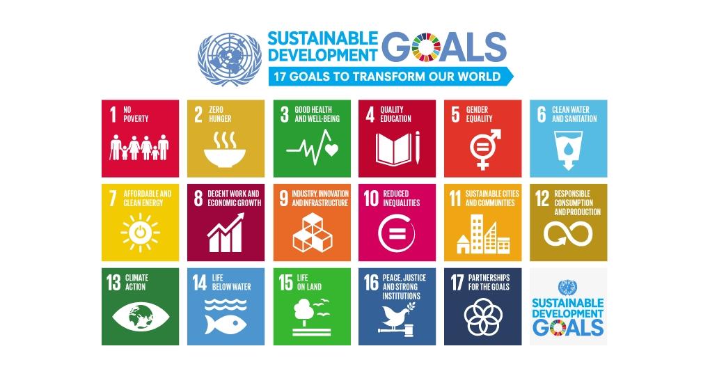 'Neem de lead en maak een SDG-agenda'