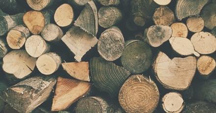 Nieuwe houtfederatie pleit voor duurzaam geproduceerd hout 