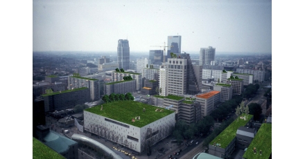 Rotterdam wordt groen dit jaar