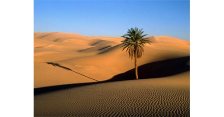 Sahara kan heel Europa van energie voorzien