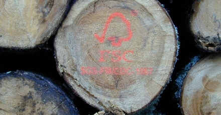 Tool geeft inzicht in impact FSC-hout