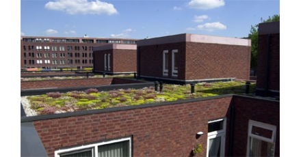 Veel groene daken in Parkzijde Groningen