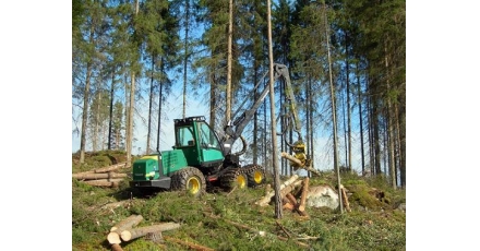 'Verbijsterd over voornemen tot toelating omstreden houtkeurmerk'