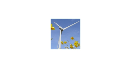 Windenergie ruim verdrievoudigd in 2020