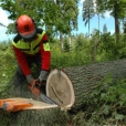 Voortaan FSC hout voor Bouwend Nederland en AkzoNobel 