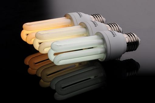 heks ophouden Perth Blackborough Inzameling energiezuinige lampen wordt beloond | Blog | Duurzaam Gebouwd